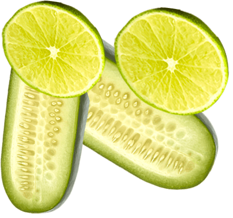 Icono de fruta cuatro de pepino y limon