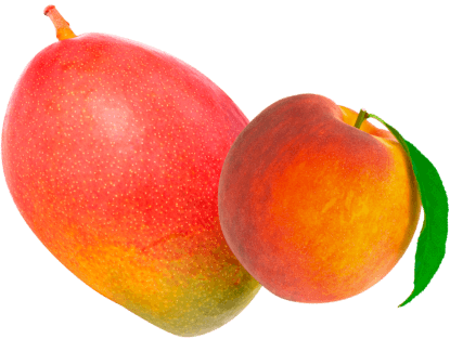 Icono de fruta tres de durazno y mango