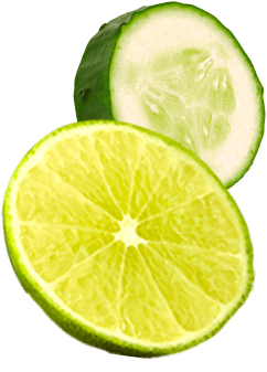Icono dos de pepino y limon
