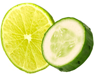 Icono de fruta tres de pepino y limon