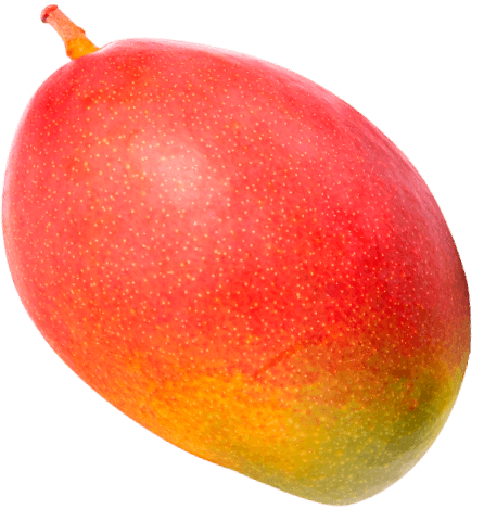 Icono de fruta cuatro de durazno y mango